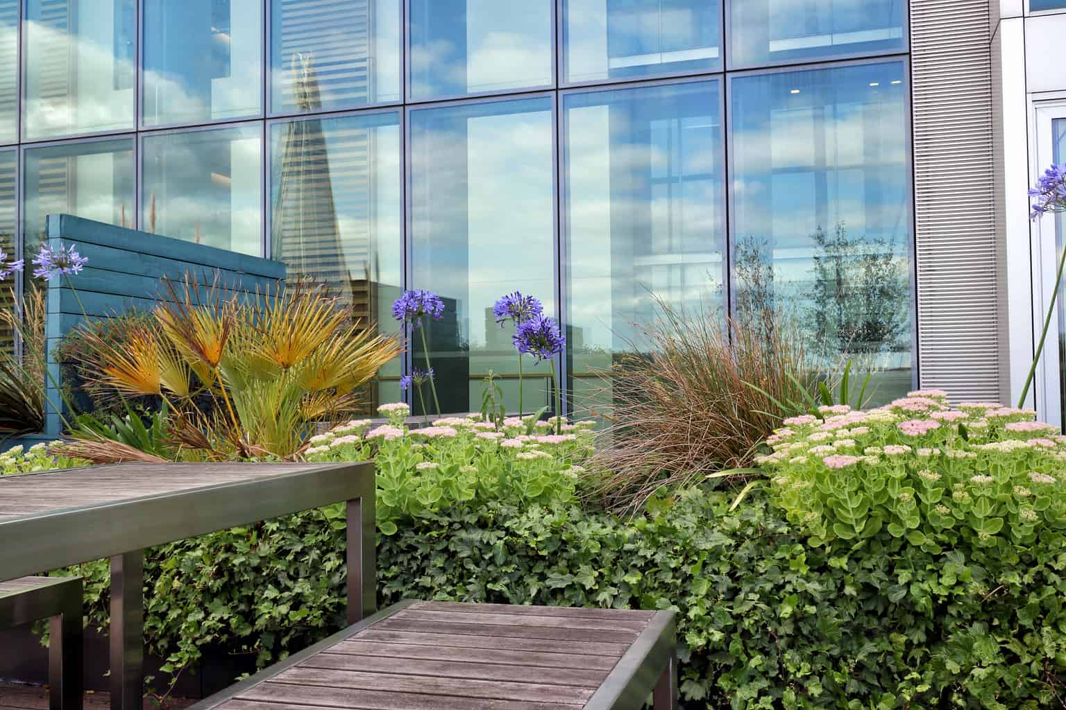 Green Roof Garden