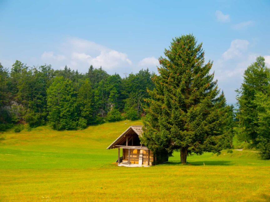 Small House in Rural Setting