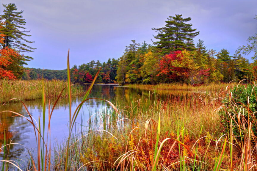 Wetlands Construction